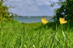 DSCF0176